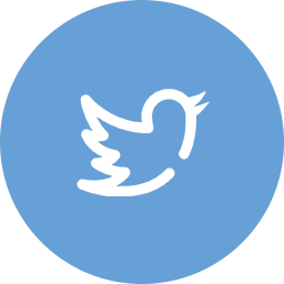 Twitter Icon